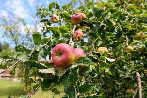 Photo of property in 14 Hunia Street, Marton, 4710