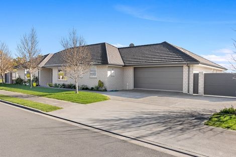 Photo of property in 37 Maeburn Street, Witherlea, Blenheim, 7201