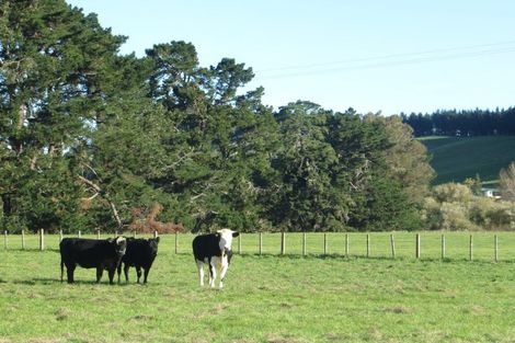 Photo of property in 3245 State Highway 2, Takapau, Waipukurau, 4281