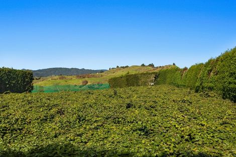 Photo of property in 31 Clark Cross Road, Otara, Opotiki, 3197