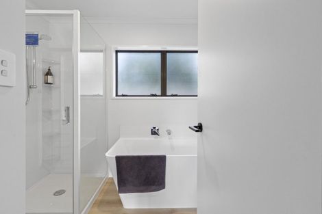 Photo of property in 45a Haultain Street, Fairfield, Hamilton, 3214