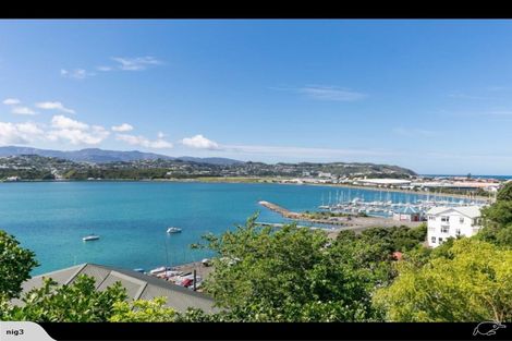 Photo of property in 50 Belvedere Road, Hataitai, Wellington, 6021