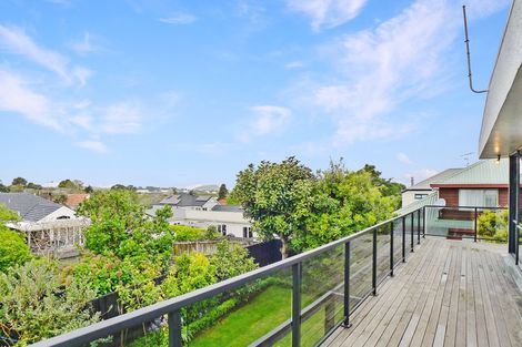 Photo of property in 101a Te Kawa Road, Greenlane, Auckland, 1061