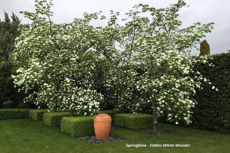 Photo of property in 87 Renall Street, Masterton, 5810