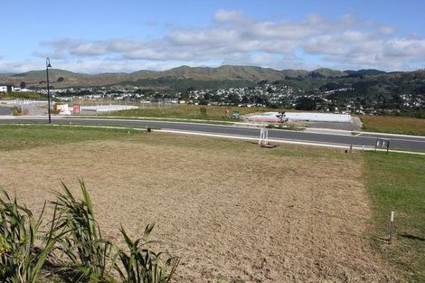 Photo of property in 207 John Burke Drive, Aotea, Porirua, 5024