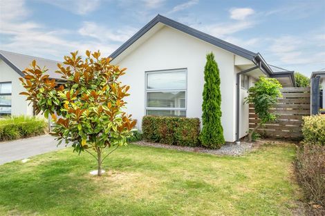 Photo of property in 22 Helmore Street, Rangiora, 7400