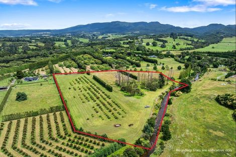 Photo of property in 30b Thompsons Track, Aongatete, 3178