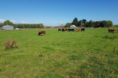 Photo of property in Hislop Road, Inch Clutha, Kaitangata, 9281