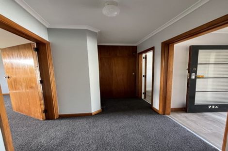 Photo of property in 73a Oxford Street, Hampstead, Ashburton, 7700