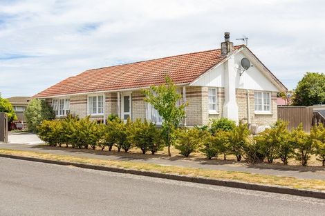 Photo of property in 24 Manchester Street, Solway, Masterton, 5810