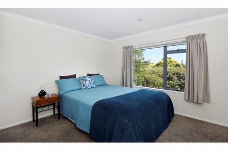 Photo of property in 15 Blair Terrace, Richmond, 7020