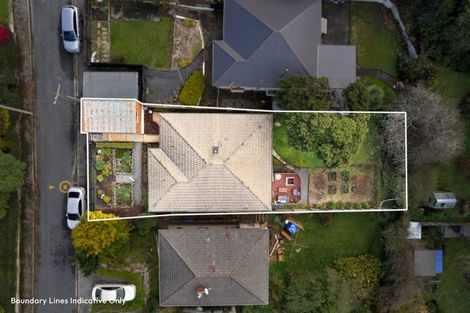 Photo of property in 41 Ventnor Street, Mornington, Dunedin, 9011
