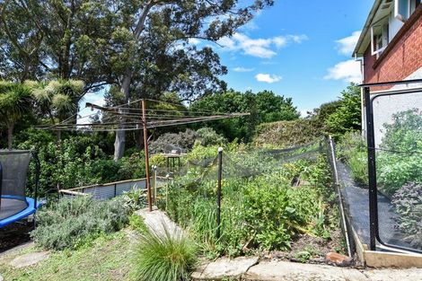 Photo of property in 47 Cockerell Street, Brockville, Dunedin, 9011