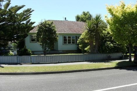 Photo of property in 31 Parata Street, Hokowhitu, Palmerston North, 4410