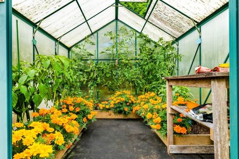 Photo of property in 37 Flint Road West, Stratford, 4332