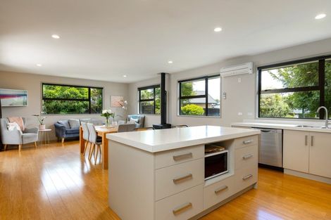 Photo of property in 17 Hilton Place, Blenheim, 7201