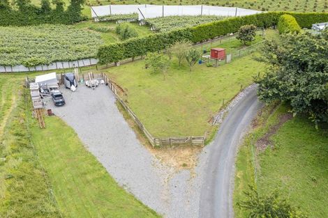 Photo of property in 390b Old Highway, Whakamarama, Tauranga, 3180