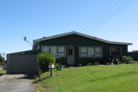 Photo of property in 119 Rayner Road, Huntly, 3700