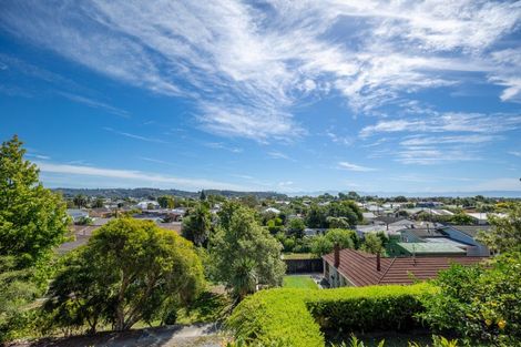 Photo of property in 95 Cambria Street, The Wood, Nelson, 7010