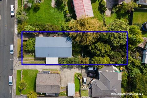 Photo of property in 19 Kereru Street, Henderson, Auckland, 0612