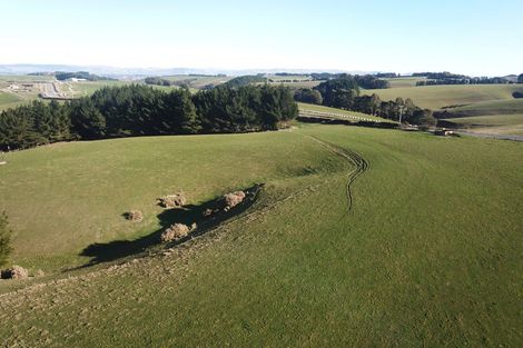 Photo of property in 31 Birss Road, Balclutha, 9272