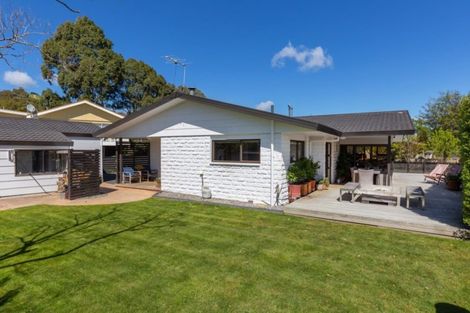 Photo of property in 235 Weld Street, Witherlea, Blenheim, 7201