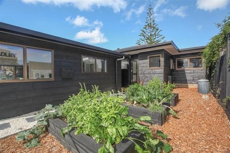 Photo of property in 4 Leonard Place, Dinsdale, Hamilton, 3204