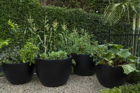 Photo of property in 21 Mount St John Avenue, Epsom, Auckland, 1051