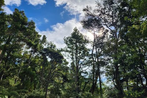 Photo of property in 105 Lone Kauri Road, Karekare, New Lynn, 0772