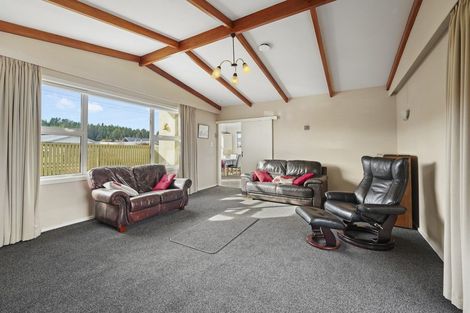 Photo of property in 64 Russell Street, Alexandra, 9320