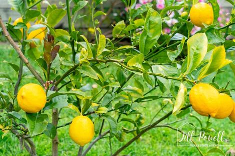 Photo of property in 13 View Street, Maungaturoto, 0520