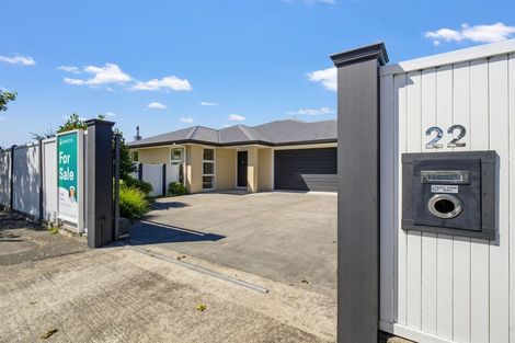 Photo of property in 22 Florence Avenue, Palmerston North, 4414