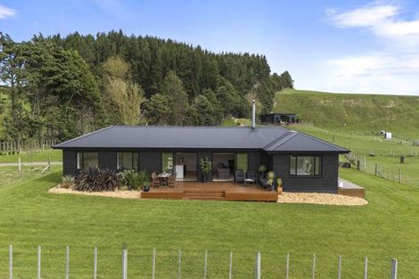 Photo of property in 336 Valley Road, Colyton, 4775