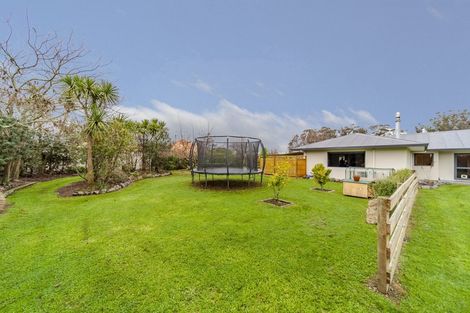 Photo of property in 12 Hatuma Road, Waipukurau, 4200