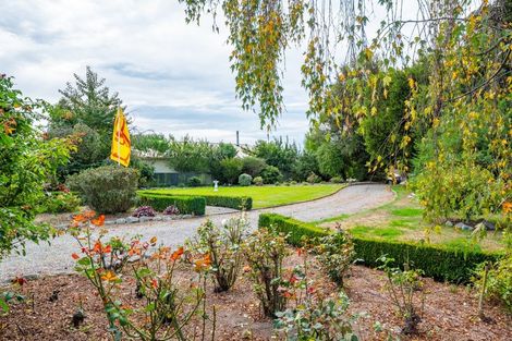 Photo of property in 31 Mckenzie Street, Geraldine, 7930