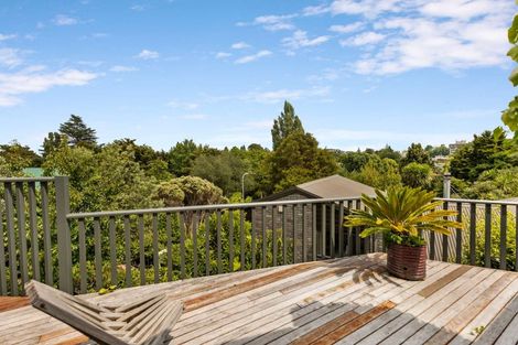 Photo of property in 125 Macfarlane Street, Hamilton East, Hamilton, 3216