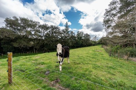 Photo of property in 72a Riverglade Drive, Tamahere, Hamilton, 3283