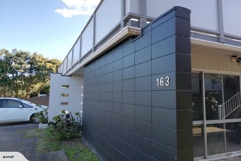 Photo of property in 163 Tutere Street, Waikanae Beach, Waikanae, 5036