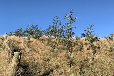 Photo of property in 61 Short Cut Road, Waitati, 9085