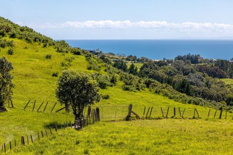 Photo of property in 88a Onetangi Road, Waiheke Island, 1971