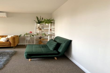 Photo of property in 162 The Ridgeway, Mornington, Wellington, 6021