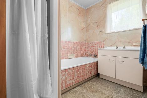 Photo of property in 63 Fitzroy Avenue, Fitzroy, Hamilton, 3206