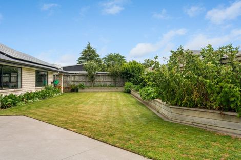Photo of property in 18 Sadie Drive, Matamata, 3400