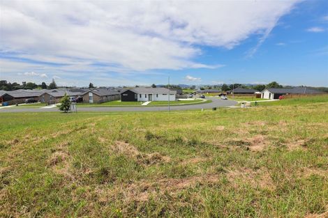 Photo of property in 29 Murray Ward Drive, Te Kauwhata, 3710