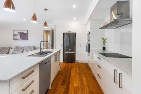 Photo of property in 58 Harrisville Road, Tuakau, 2121