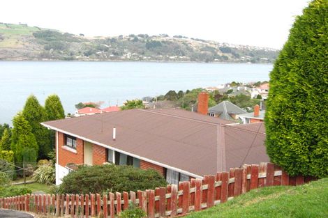 Photo of property in 19 Rotoiti Street, Maia, Dunedin, 9022