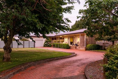 Photo of property in 519 Nelson Road, Riverdale, Gisborne, 4071