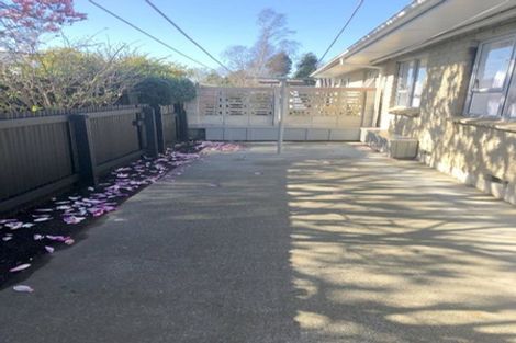 Photo of property in 1/100 Renata Street, Frimley, Hastings, 4120