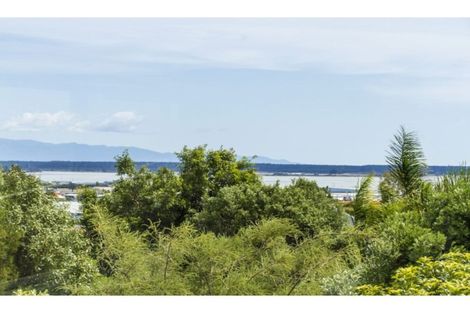 Photo of property in 2/12 Farnham Drive, Richmond, 7020