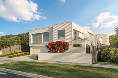 Photo of property in 37 Albert Street, Saint Clair, Dunedin, 9012